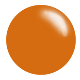 #192 Pumpkin Spice - Nail Stamping Polish (5 Free Formula)